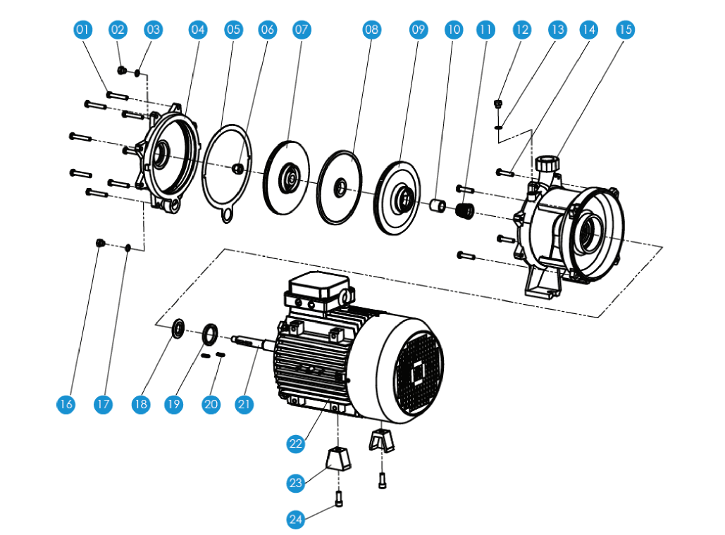 Double Impeller Pump (SDPT)